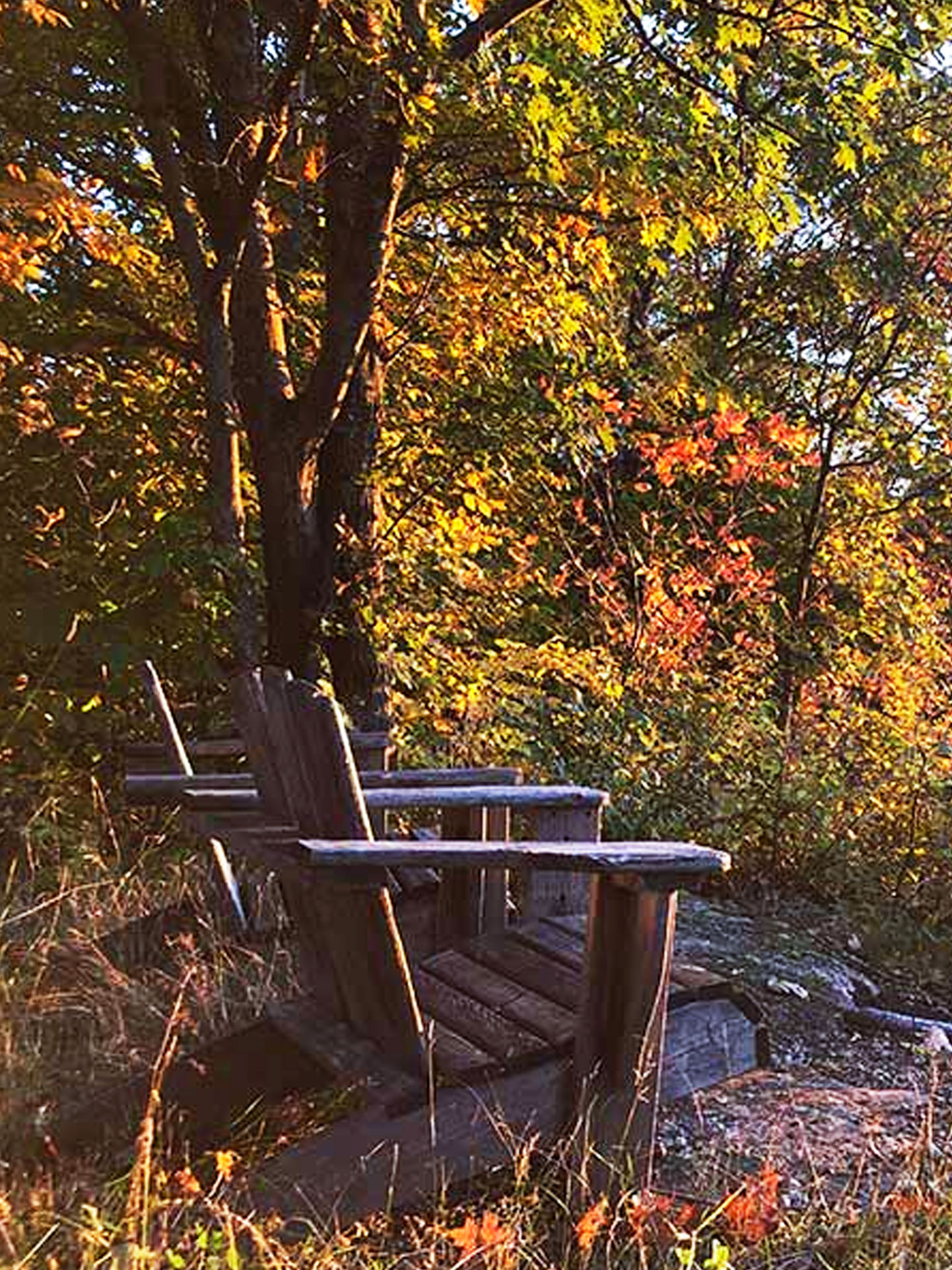 campsite